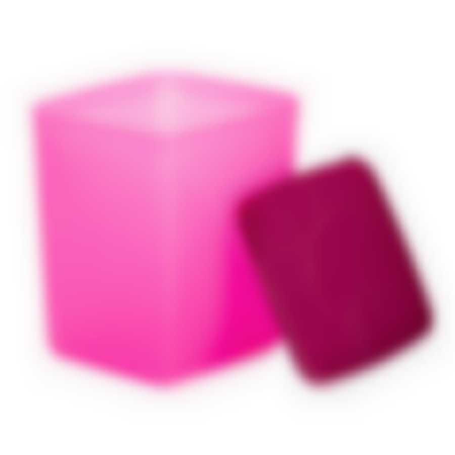 Контейнер для заморозки ALASKA 2л фуксия