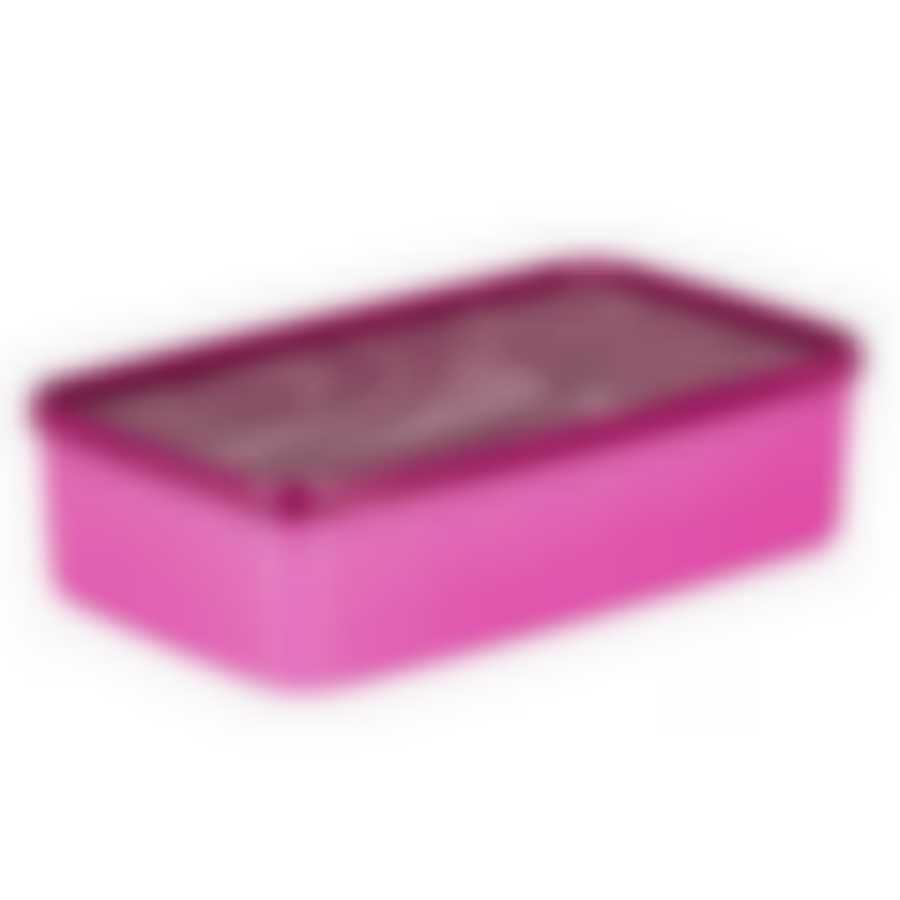 Контейнер для заморозки ALASKA 2.1л фуксия