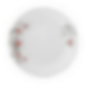 Тарелка десертная IKATIUM RED 19см