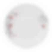 Тарелка обеденная IKATIUM RED 25см