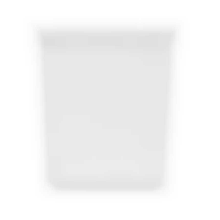 Контейнер для заморозки ALASKA 2л белый