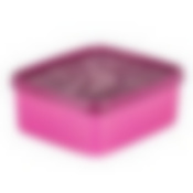 Контейнер для заморозки ALASKA 0.65л фуксия