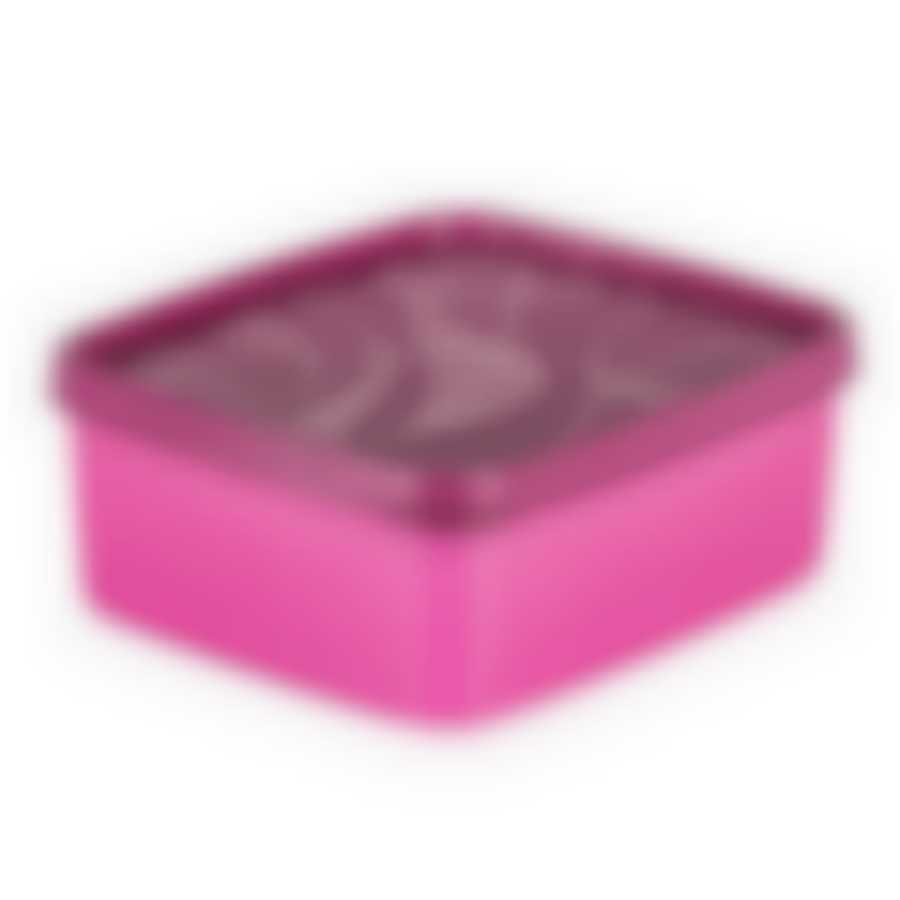 Контейнер для заморозки ALASKA 0.65л фуксия