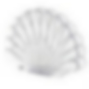 Салфетница "Ракушка" прозрачная