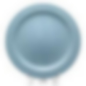 Тарелка мелкая ф.Принц диам.265 мм Акварель (голубой) 1 сорт