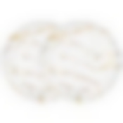 Набор тарелок обеденных lefard Fantasy 2 шт. 25,5см 