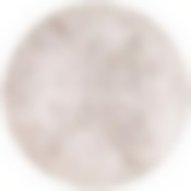 Тарелка обеденная Style 26см без упак.