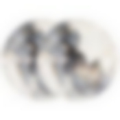 Набор тарелок обеденных lefard Moon art 2 шт. 25.5см 