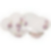 Сервиз обеденный lefard Irises на 6 пер. 23 пр. 