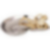 Менажница Осьминог 42*34 см. высота=9 см. серия Dal mare 