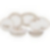 Сервиз столовый lefard Lilies на 6 пер. 23 пр. 