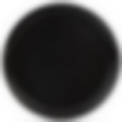 Тарелка обеденная DIANA 25см