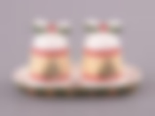 Набор для специй "CHRISTMAS COLLECTION" 3 пр.