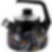 Чайник эмал 3,0л со свистком Botany black ТМ Appetite