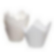 Тюльпан 10шт 50*50мм белый