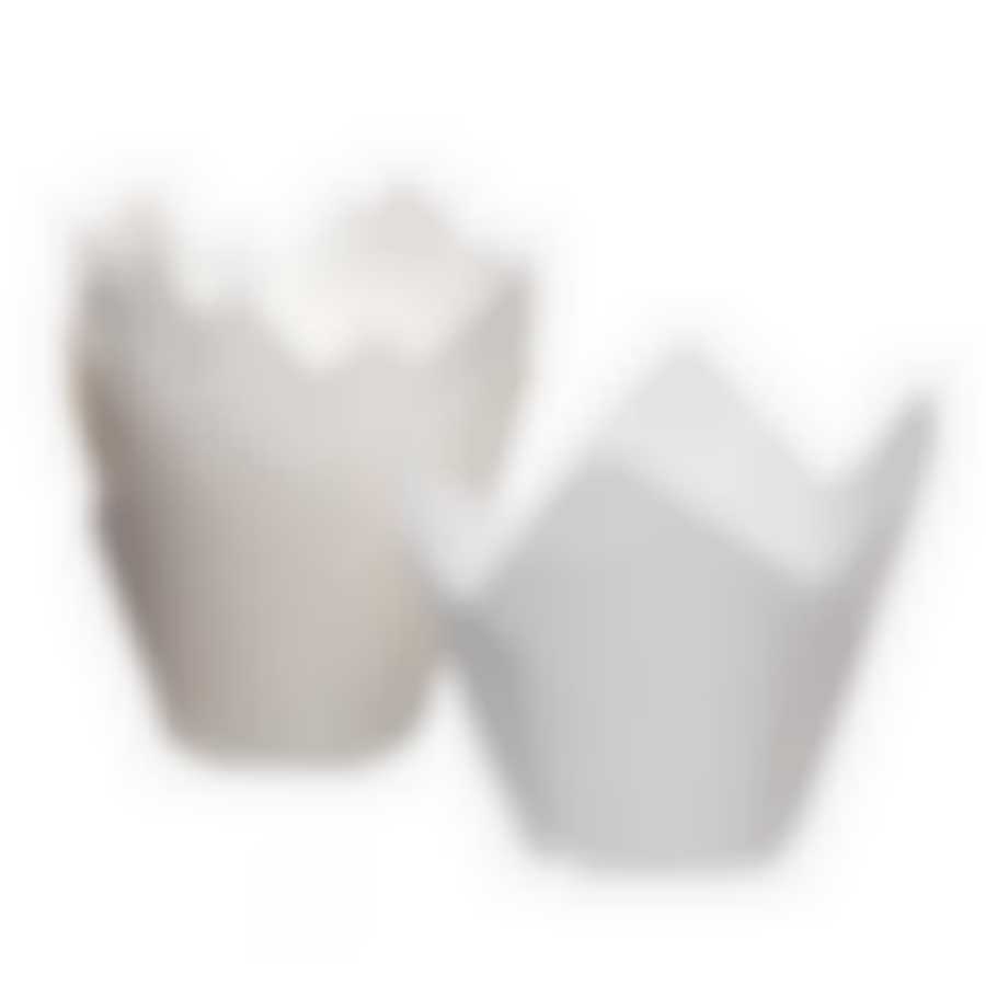 Тюльпан 10шт 50*50мм белый