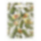 Доска разделочная "Авокадо"