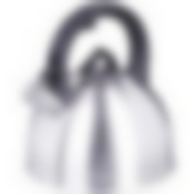 Чайник 3 л нерж/сталь со свистком MB