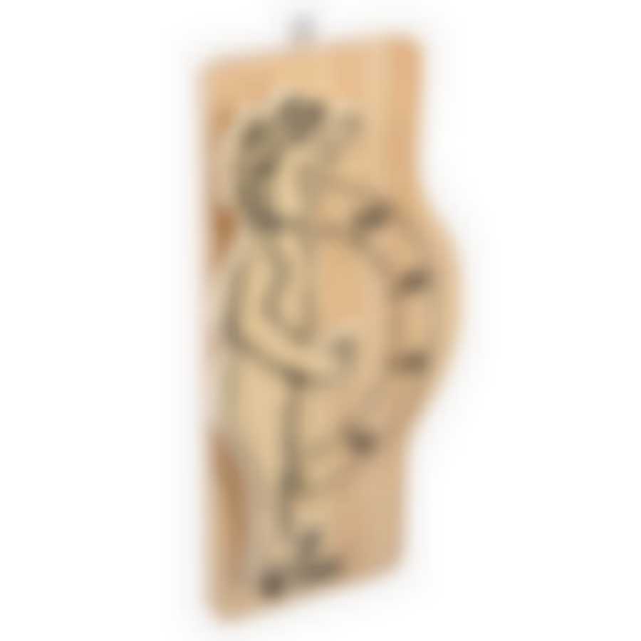 Термометр "Банщик", 23х10х3 см