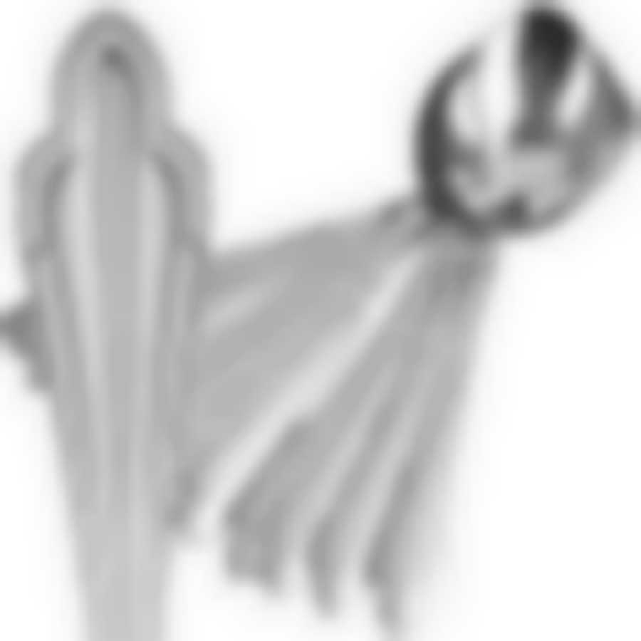 Ложки столовые 12шт.MB