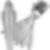 Вилки столовые 12шт.MB