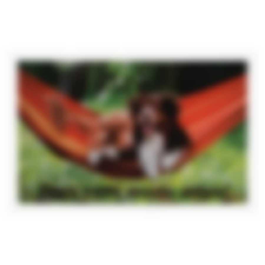 Коврик влаговпитывающий  "Samba"  50*80 см. "Собаки в гамаке"