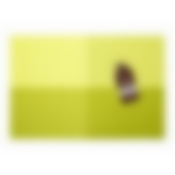 Салфетка сервировочная "Геометрия" лайм