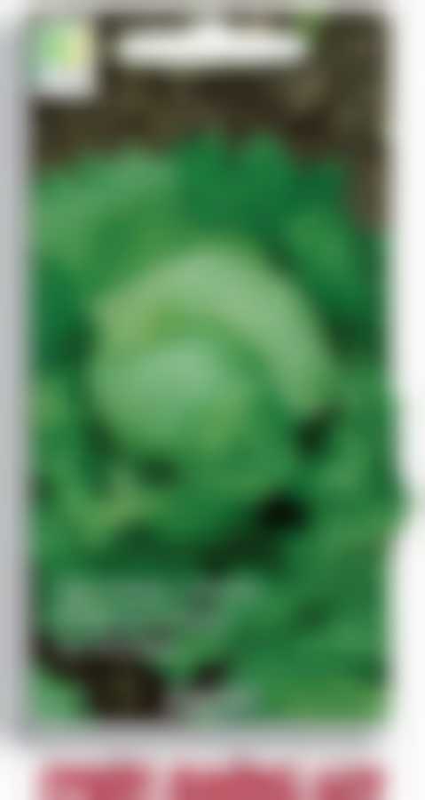 Салат Грейт Лайкс 659 (А) 470452