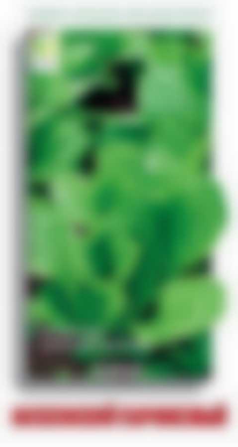 Салат Московский парниковый 470529