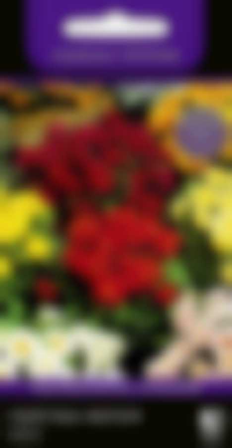 Георгина Фигаро Микс 700911