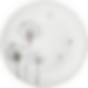 Тарелка обеденная lefard dandelion 25,5см 