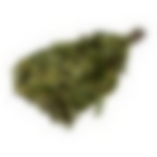 Веник липовый в уп.