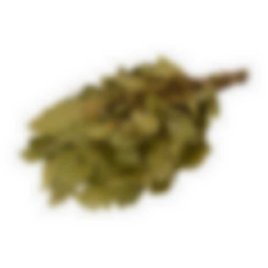 Веник дубовый с донником в уп.