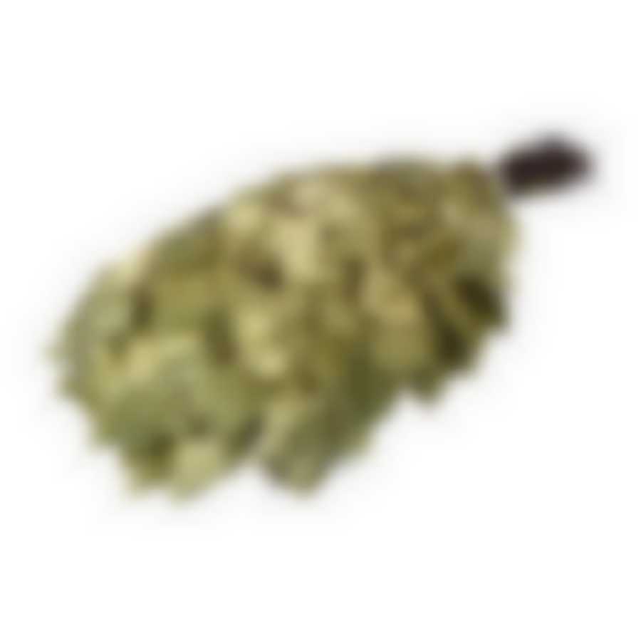 Веник березовый в уп.