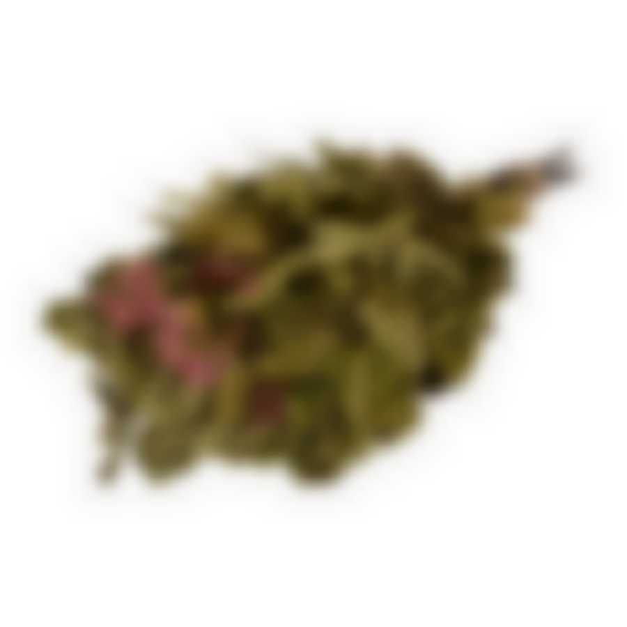 Веник дубовый с черноклёном в уп.