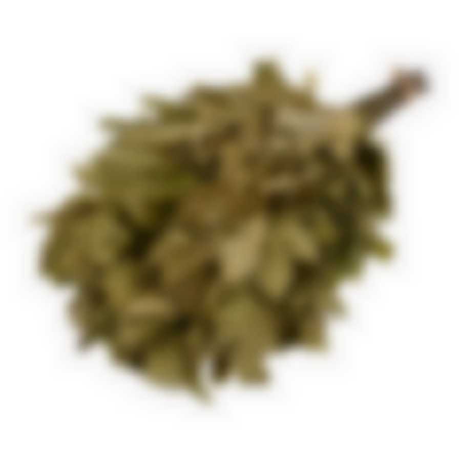 Веник дубовый "Богатырь"