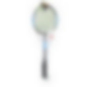 Бадминтон ( 2 ракетки, воланчик),  в сетке