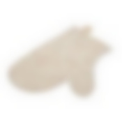 Рукавица для сауны