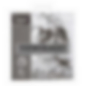 Термопакет, 42х45 см, пластиковая ручка, Мах нагрузка до 10 кг.