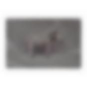 Набор салфеток сервировочных "Сафари", 4 шт