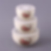 Набор блюд для заливного из 3 шт. "КОРЕЙСКАЯ РОЗА" 750/500/250 мл.