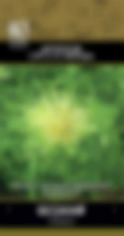 Эндивий Весенний (А) 590815