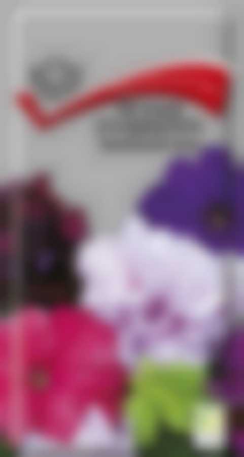 Петуния грандифлора Триумф Дабл микс 420400