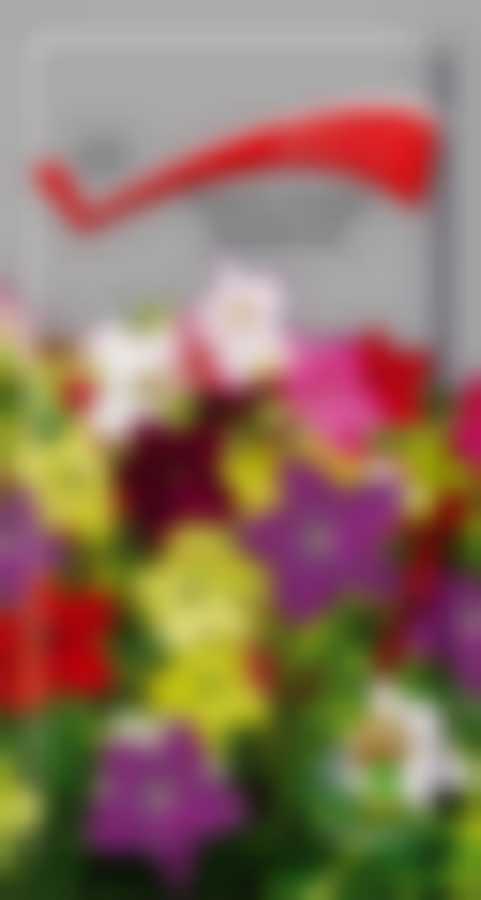 Табак Сандер Парфюм микс 668649