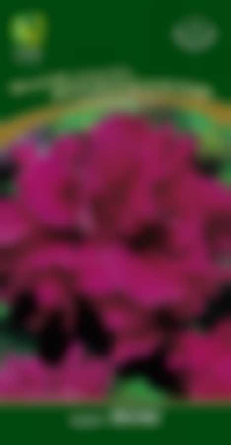 Петуния махровая Дабл каскад бургунди 420563