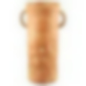 Ботаника ваза цилиндр h30см Т3605