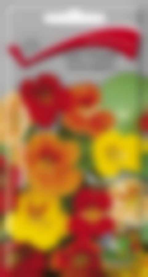 Настурция Смесь окрасок 390273