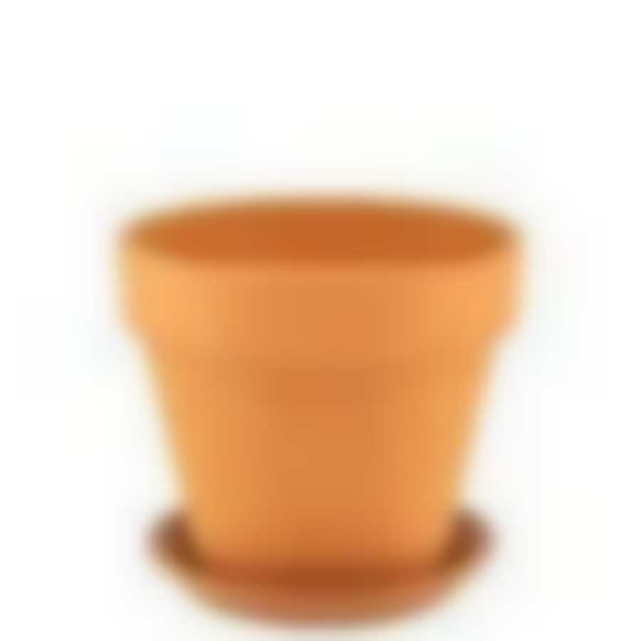 Горшок Конус с под. d9/h8см Т2009