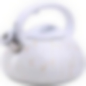 Чайник 3л со свистком нерж MB