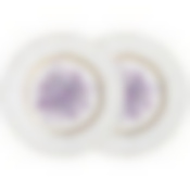 Набор тарелок закусочных lefard Lilac 2 шт. 20,5 см 